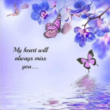 57fbb58351f7c0a03b445c884b4c923a